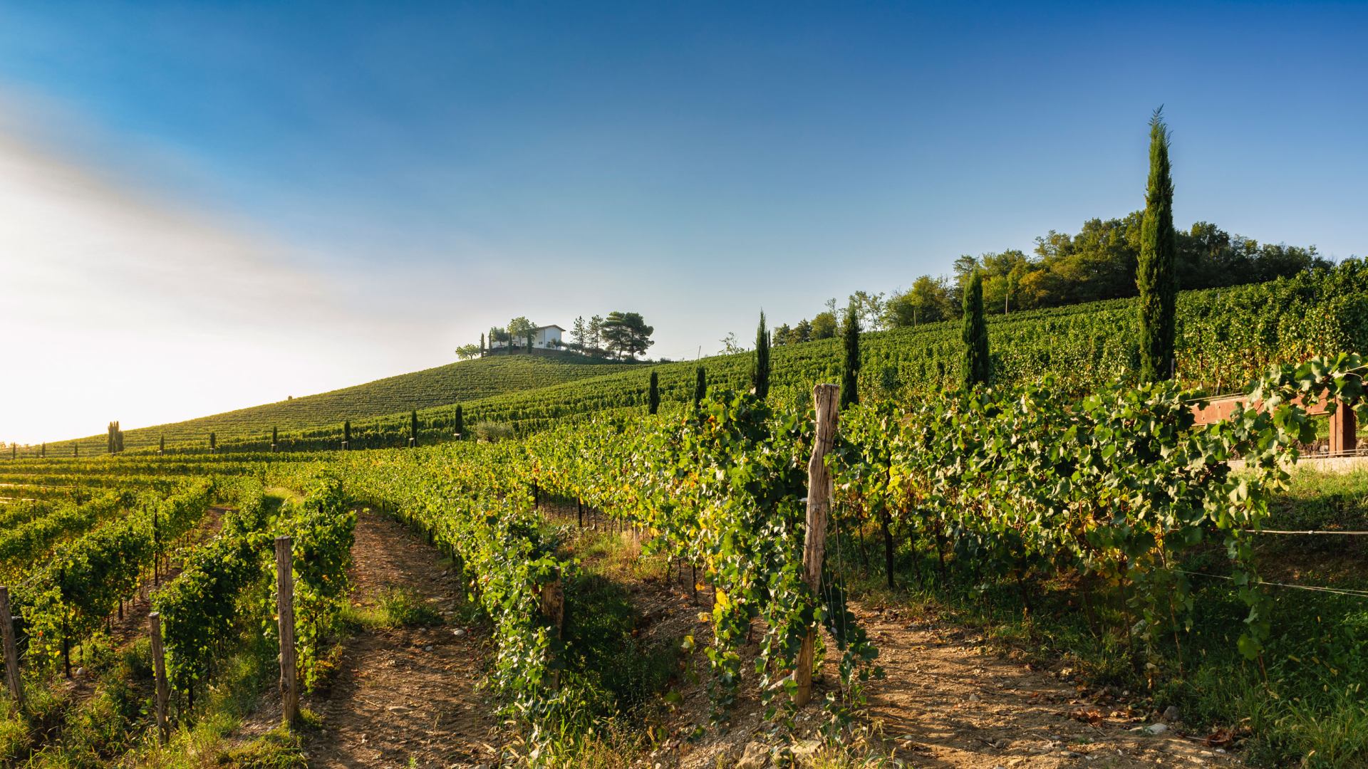 Vino, gastronomija i  priča slikovitog gradića Cividale del Friuli
