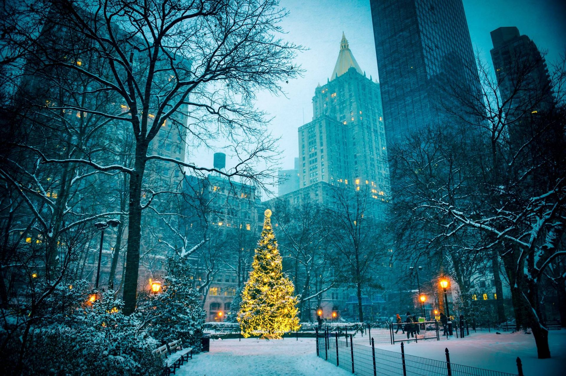 Nova godina New York i Washington