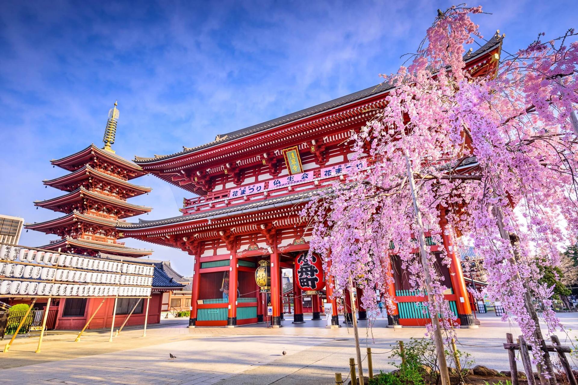 Japan - velika tura EXPO Osaka