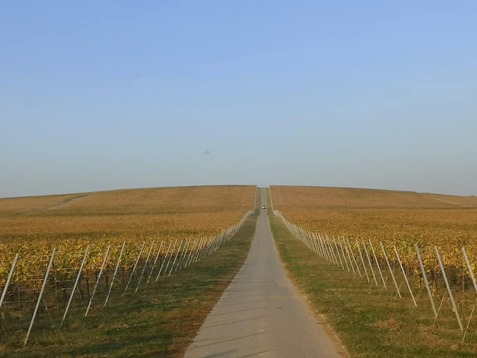 Slavonija, Baranja i Srijem