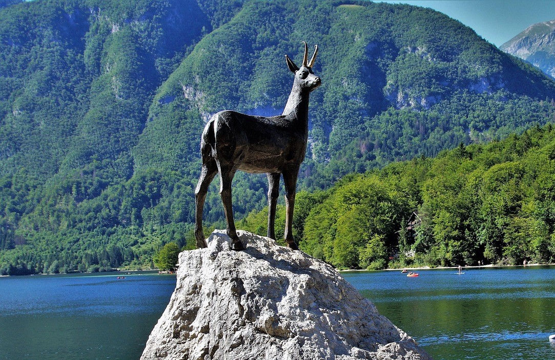 Bohinj i Bled