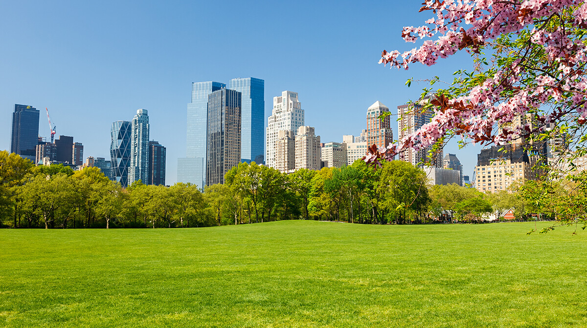 New York s izletom u Washington