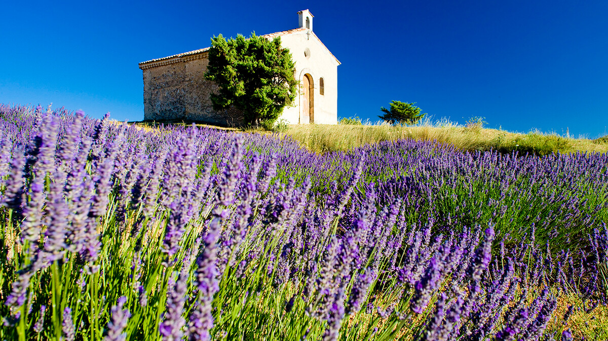 Provansa: Putevima lavande