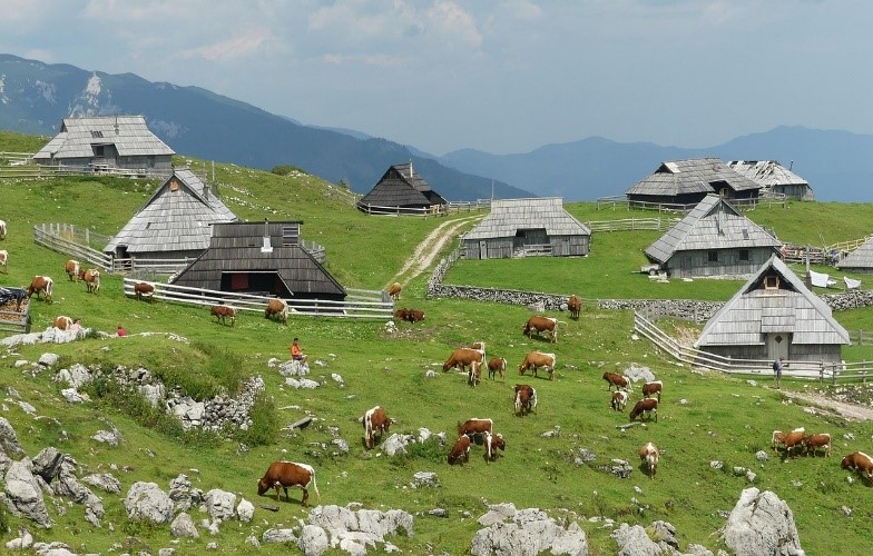 Velika Planina i Kamniške Alpe