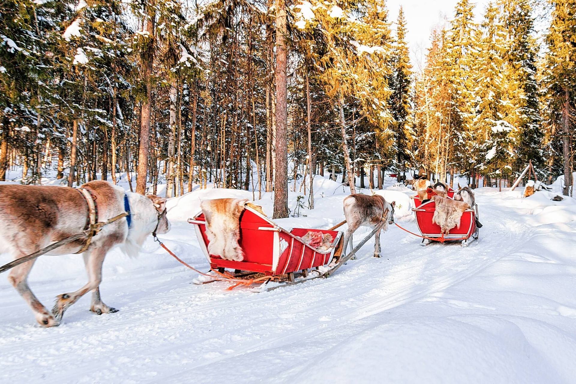 Rovaniemi - Djed Božićnjak u Laponiji