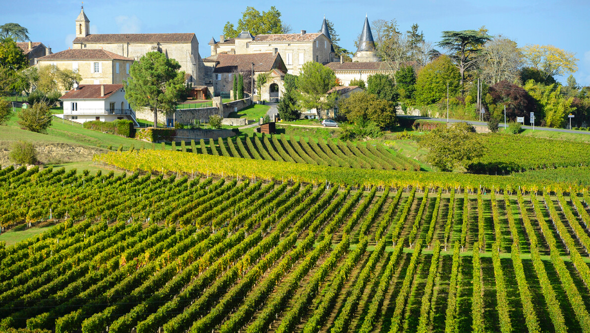 Bordeaux - Francuska u čaši